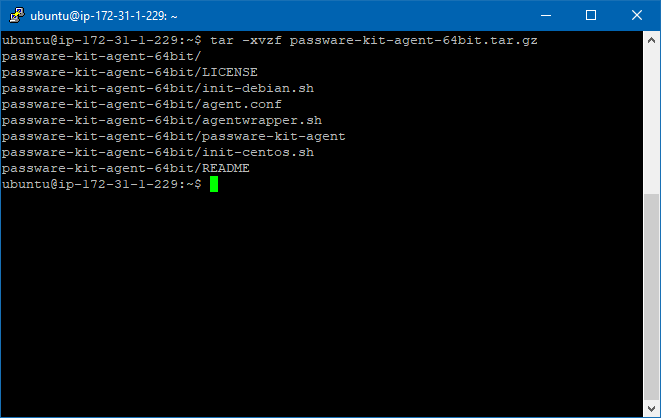 43._Unpack_downloaded_agent.png
