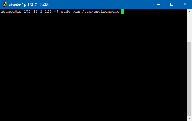 47._Configure_environment.png