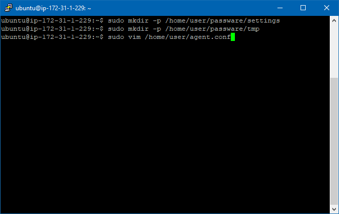 48._Configure_agent.png